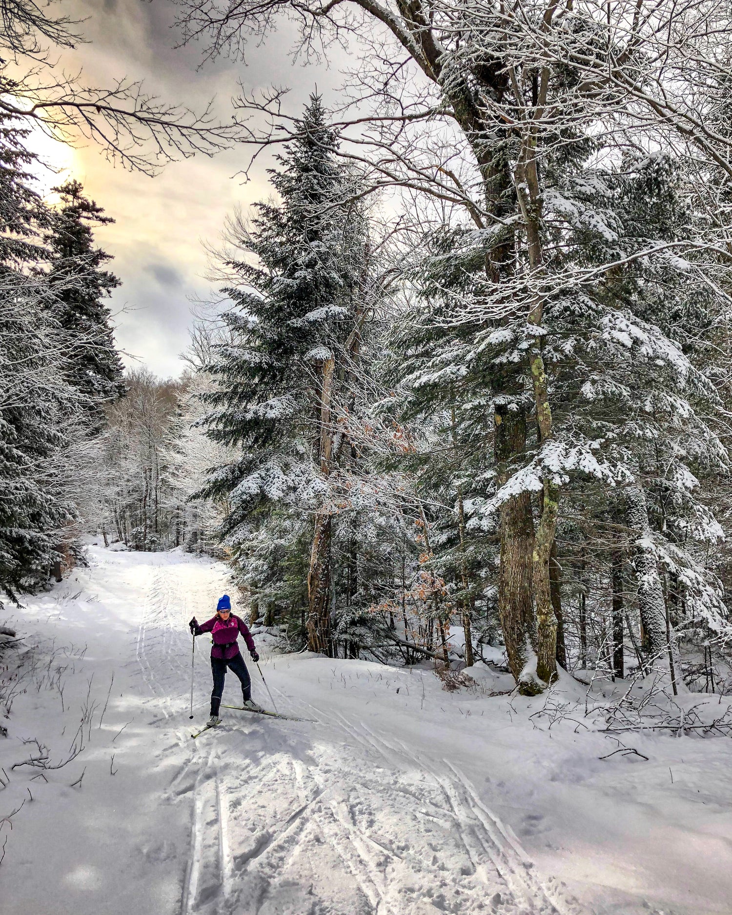 Cross Country Skis