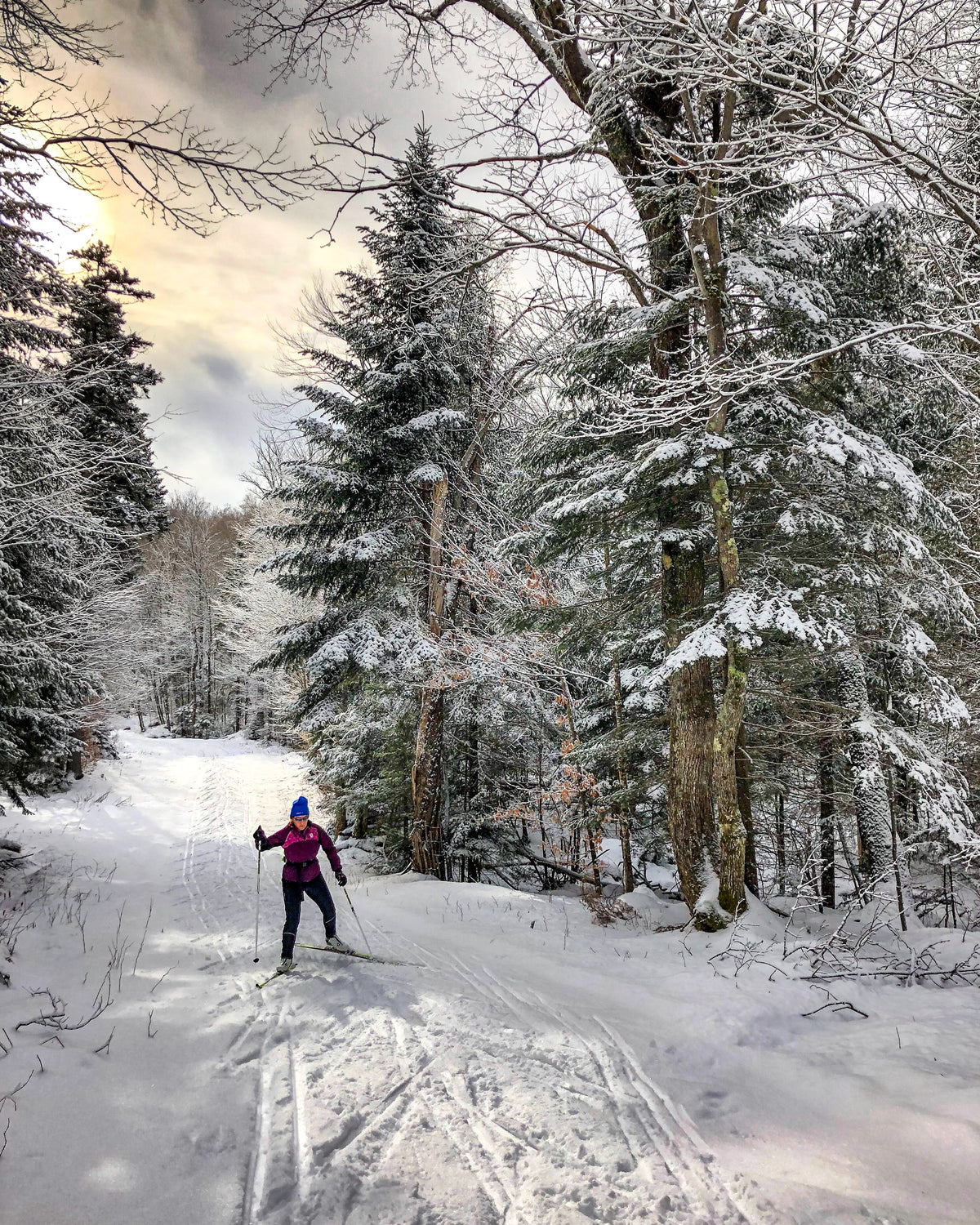 A lady cross country skiing