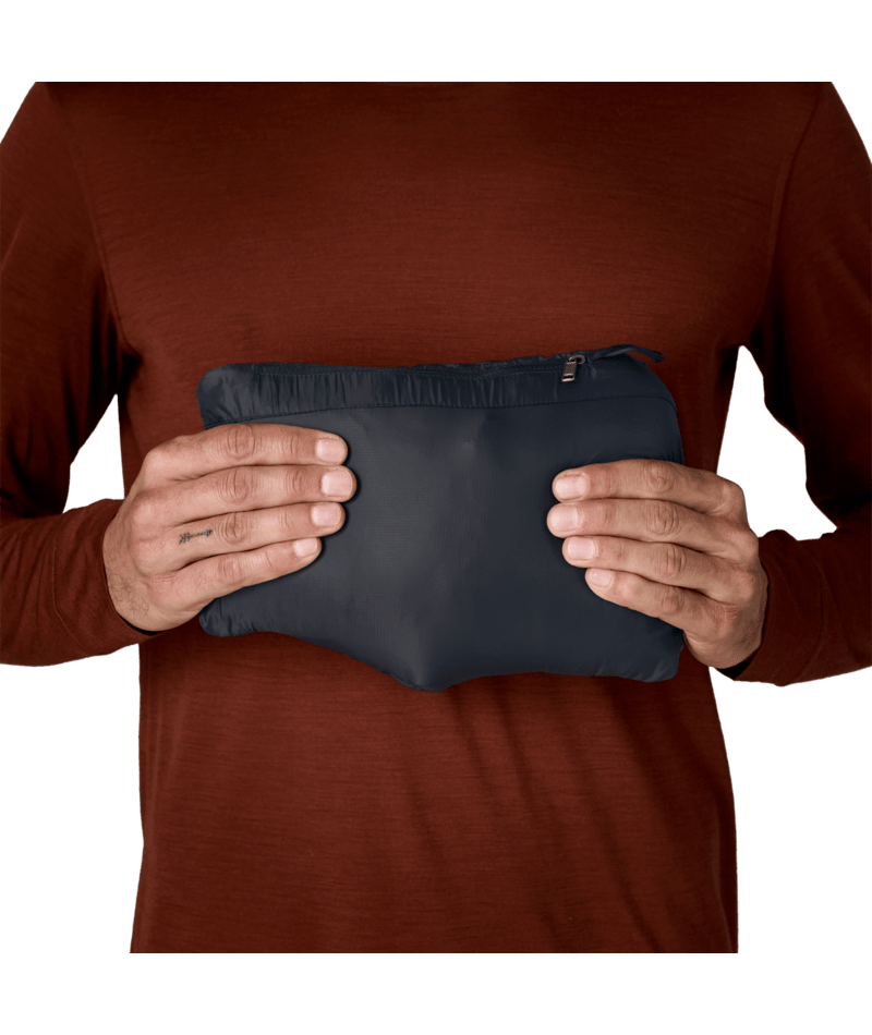 Patagonia Men's Down Sweater Hoody