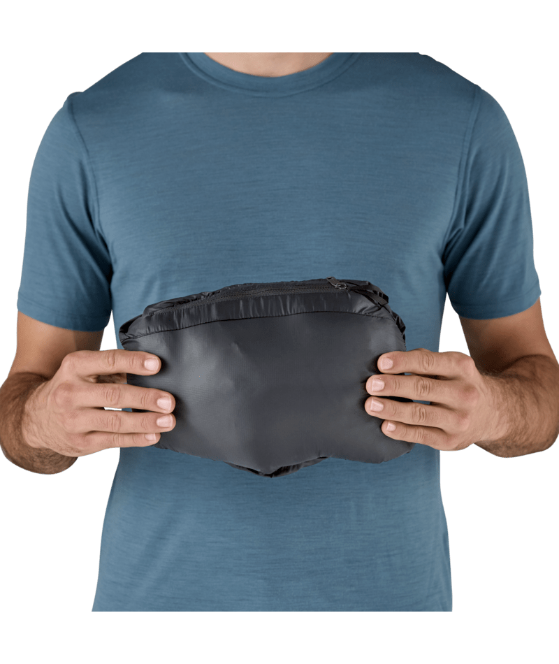 Patagonia Men's Down Sweater Hoody