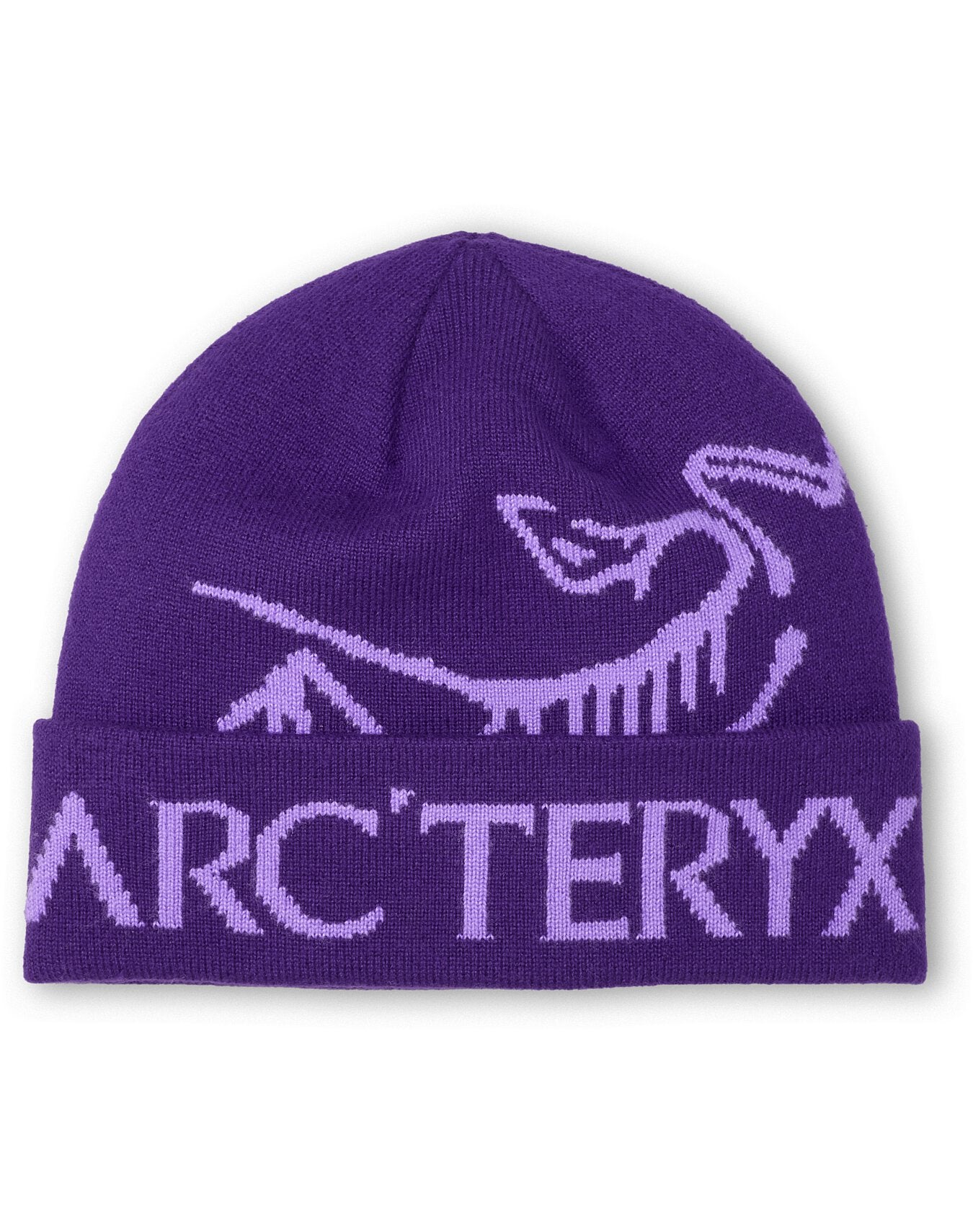 Arc'teryx Bird Word Toque – Sunshine and Ski