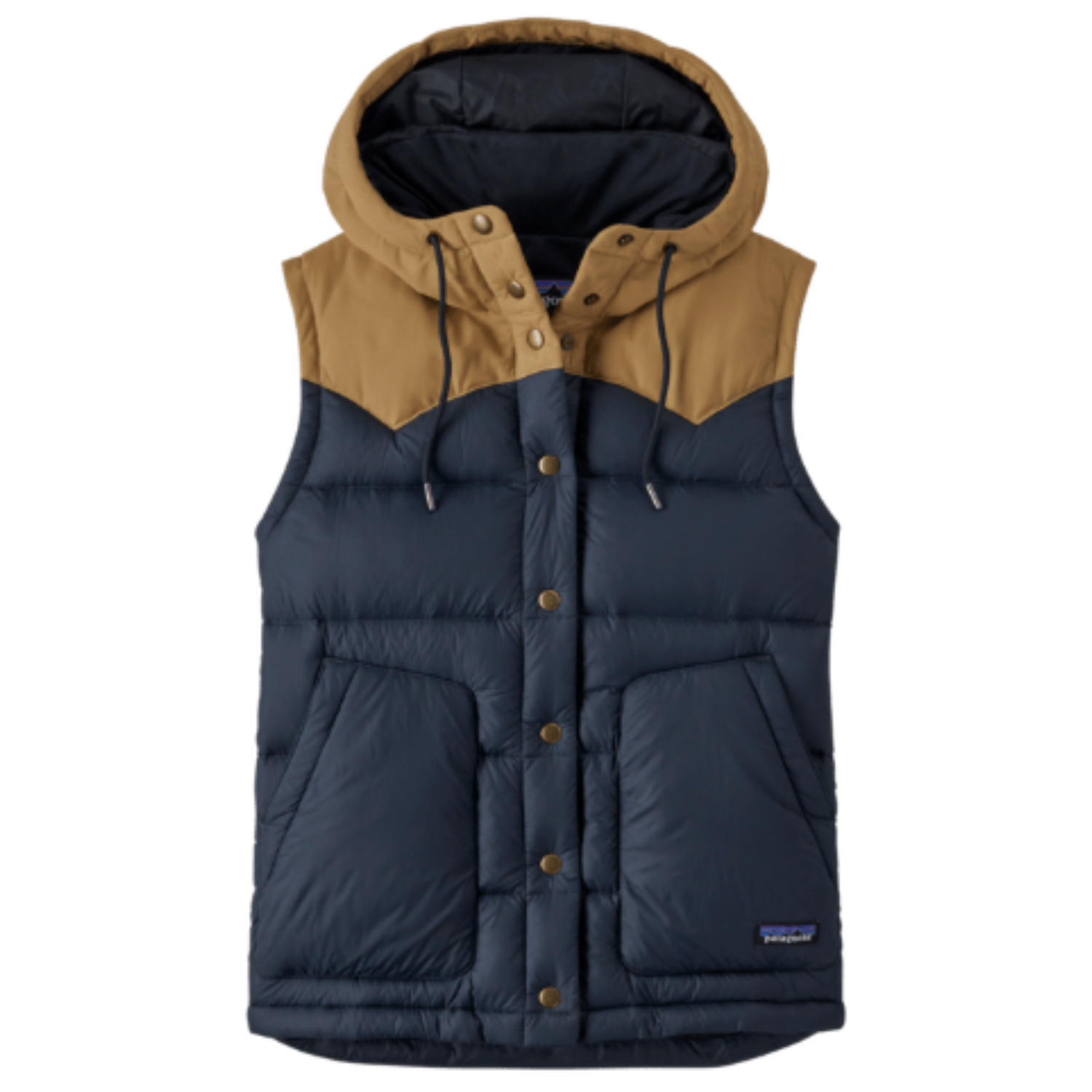 Patagonia sales hooded vest