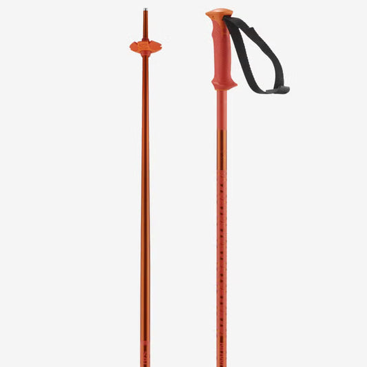 Salomon Polar Poles