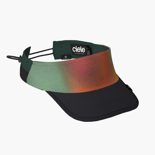 RPDVisor SC