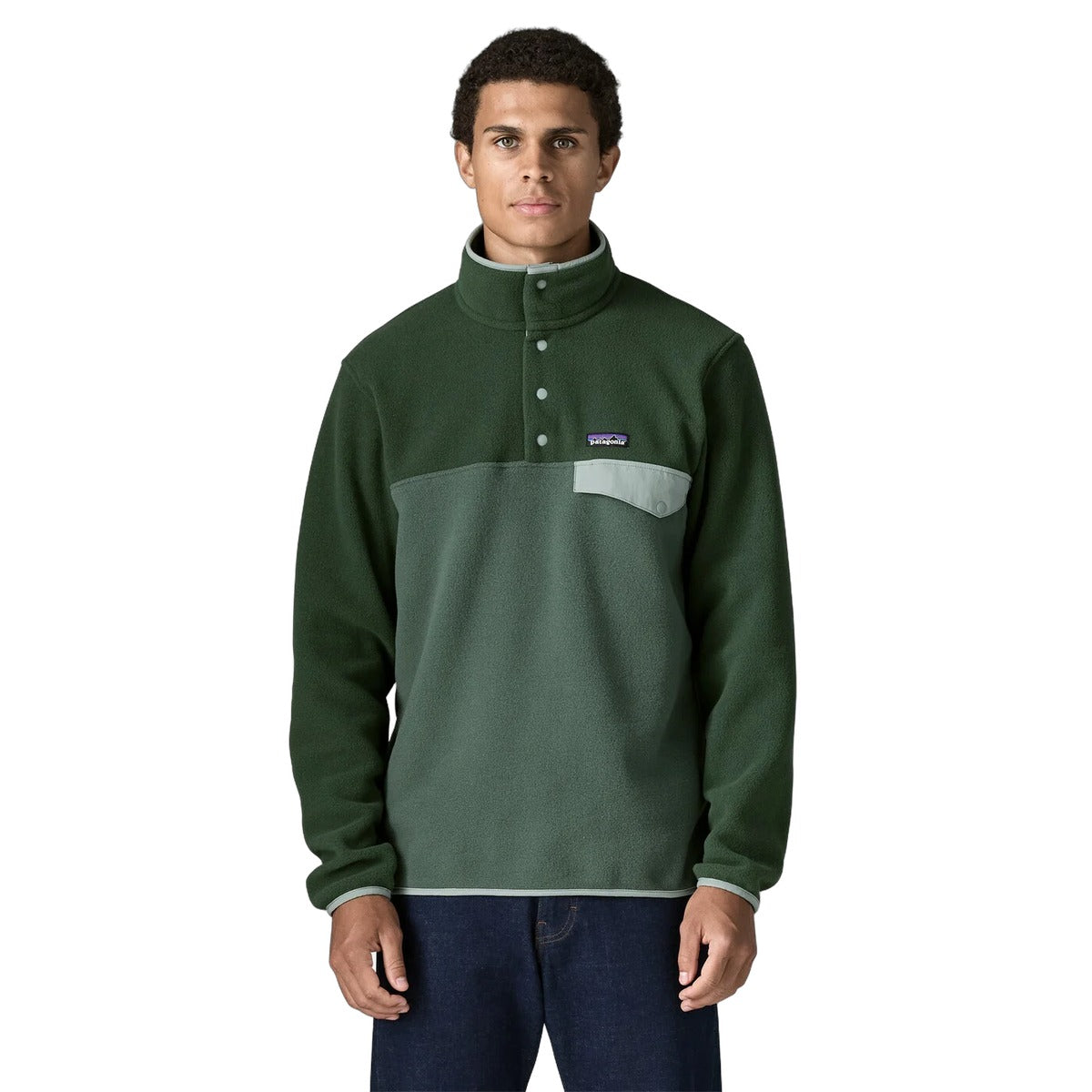 Patagonia Men's Lightweight Synchilla Snap-T Fleece Pullover - back view