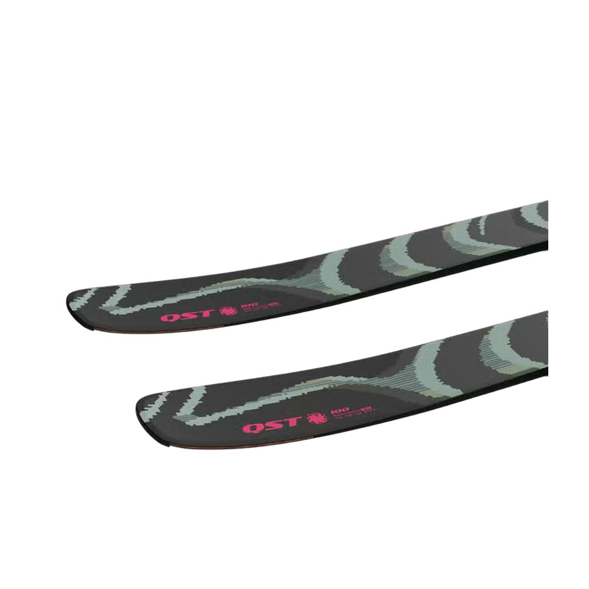 Salomon QST 100 - detail view