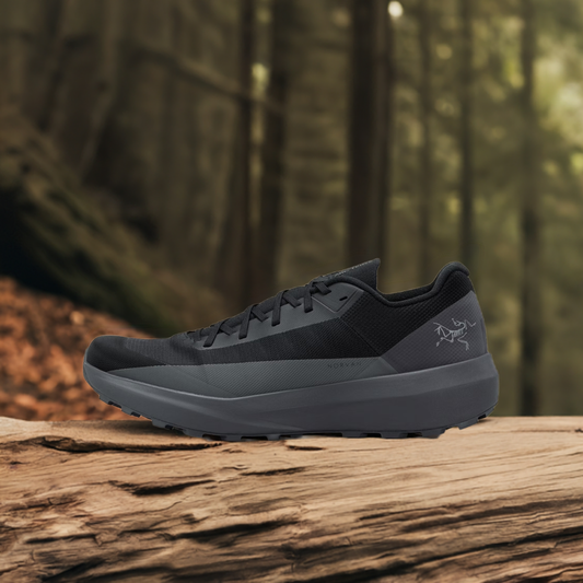 ARCTERYX NORVAN LD 4 M