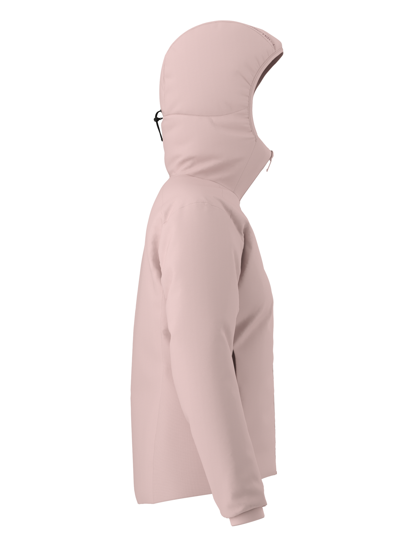 Arc'teryx Women's Atom Hoody