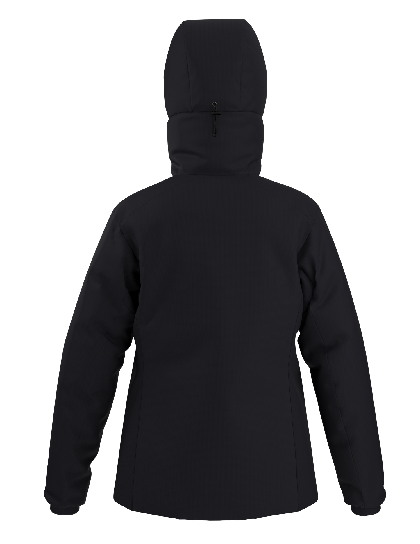 Arc'teryx Women's Atom Hoody