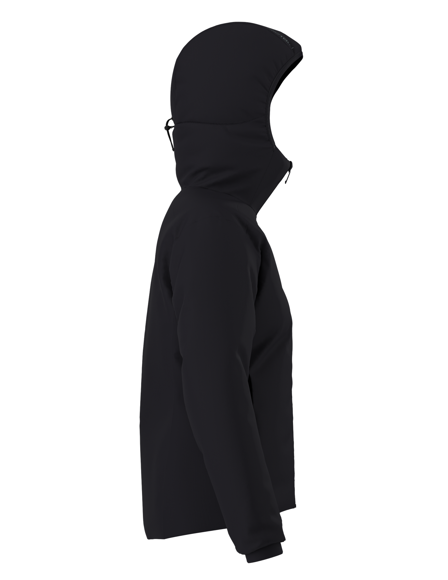 Arc'teryx Women's Atom Hoody