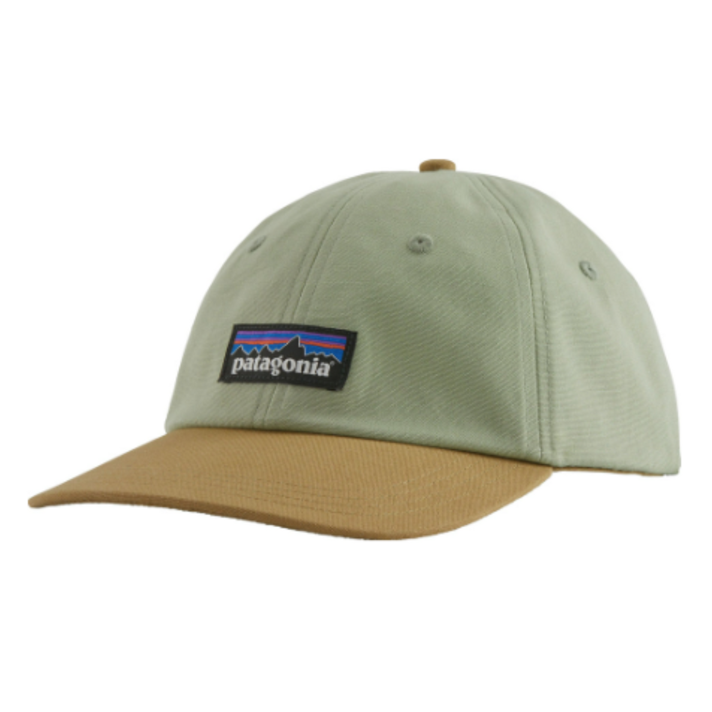 Patagonia P-6 Label Trad Cap in salvia green